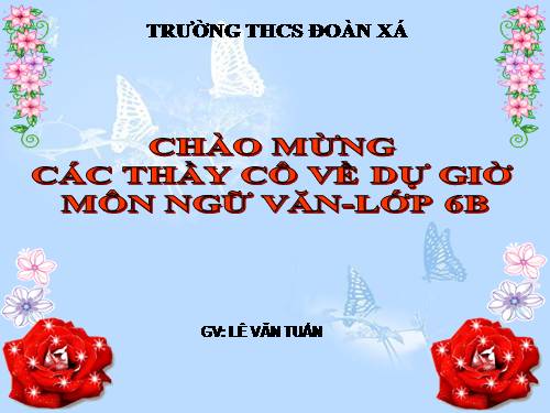 Bài 13. Chỉ từ