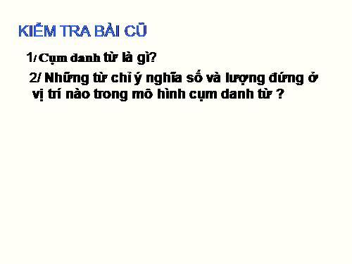 Bài 12. Số từ và lượng từ