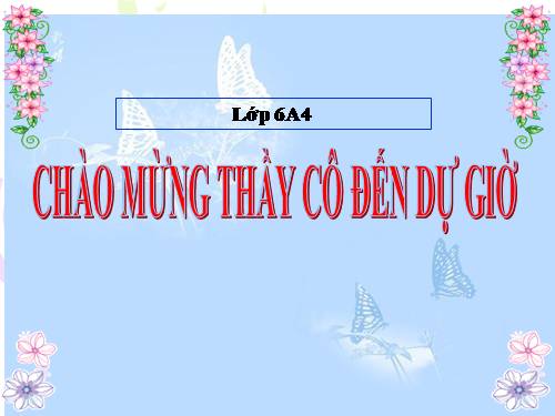 Bài 13. Chỉ từ