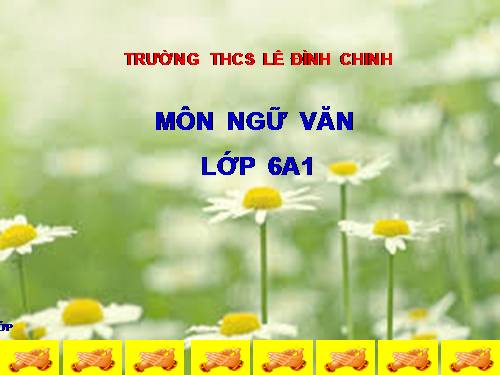 Bài 12. Số từ và lượng từ