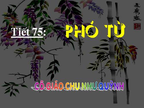 Bài 18. Phó từ