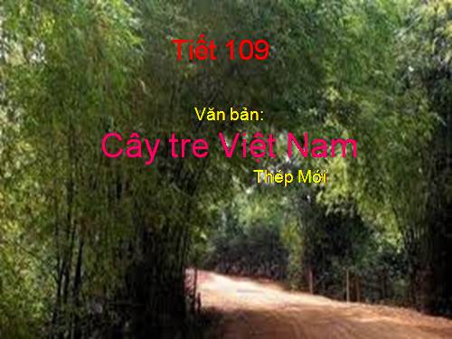 Bài 26. Cây tre Việt Nam