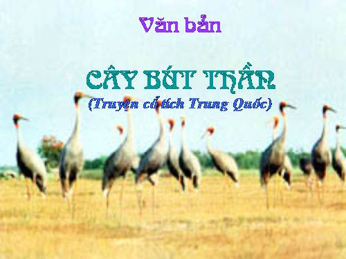 Bài 8. Cây bút thần