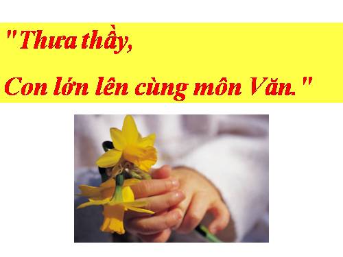 Cảm xúc về môn văn