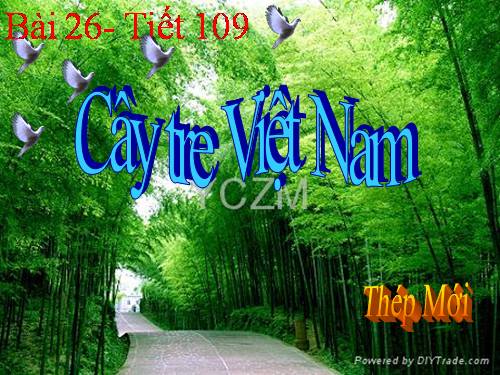 Bài 26. Cây tre Việt Nam