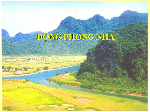 Bài 31. Động Phong Nha