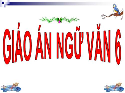 Bài 17. Ôn tập Tiếng Việt