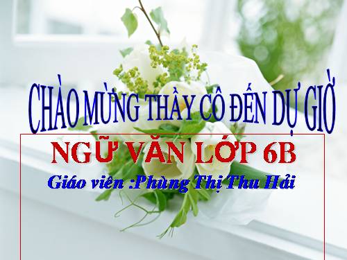 Bài 26. Cây tre Việt Nam