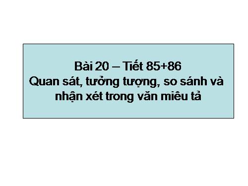 Bài 19. Quan sát, tưởng tượng, so sánh và nhận xét trong văn miêu tả