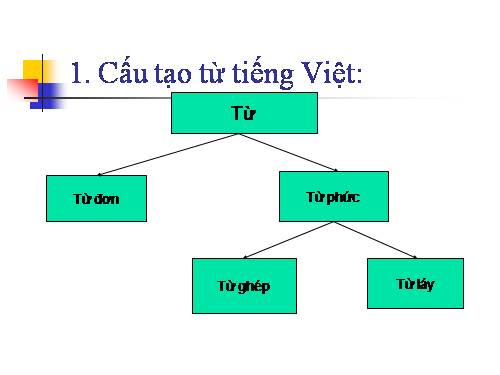 Bài 17. Ôn tập Tiếng Việt