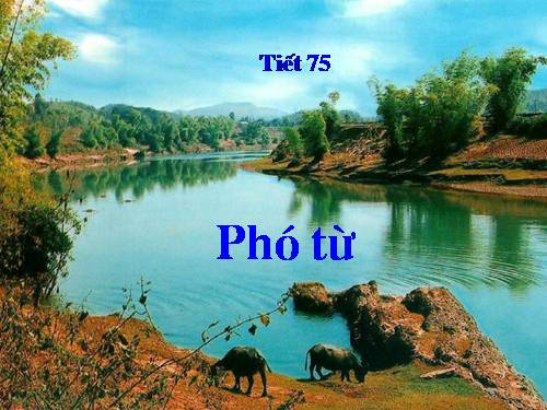 Bài 18. Phó từ