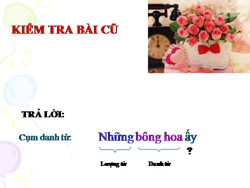 Bài 13. Chỉ từ