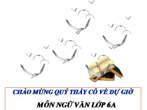 Bài 12. Số từ và lượng từ