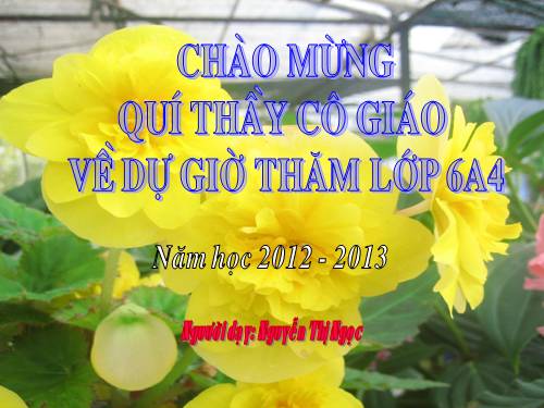 Bài 10. Ếch ngồi đáy giếng