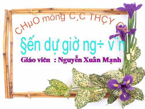 Bài 11. Cụm danh từ