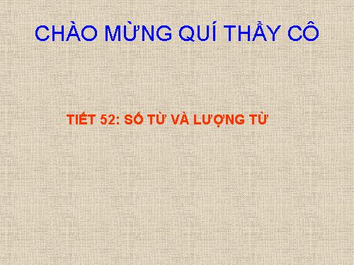 Bài 12. Số từ và lượng từ