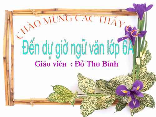 Bài 11. Cụm danh từ