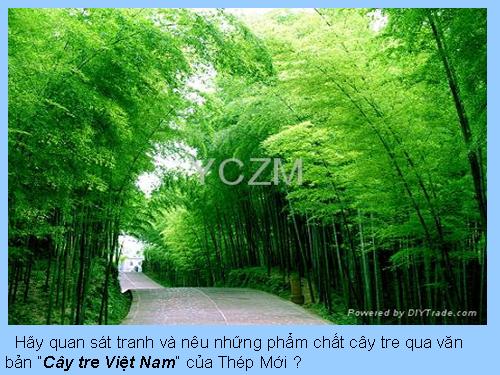 Bài 26. Câu trần thuật đơn