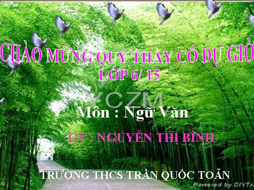Bài 26. Cây tre Việt Nam