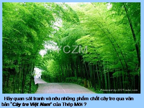 Bài 26. Câu trần thuật đơn