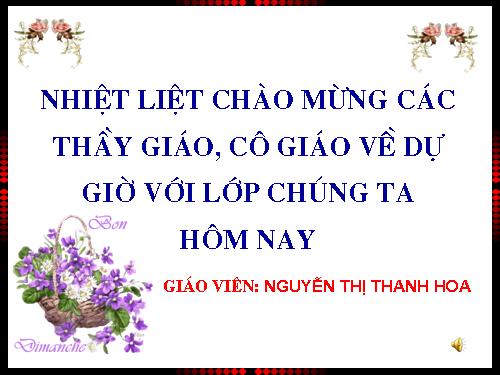 Bài 13. Chỉ từ