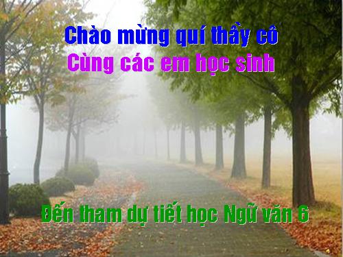 Bài 6. Chữa lỗi dùng từ