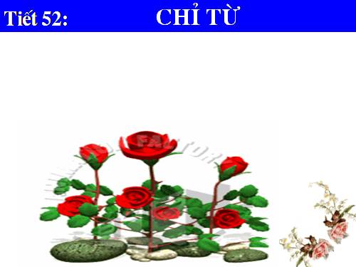 Bài 13. Chỉ từ