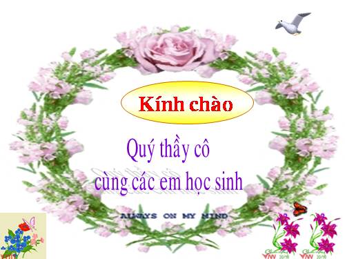 Bài 27. Lao xao