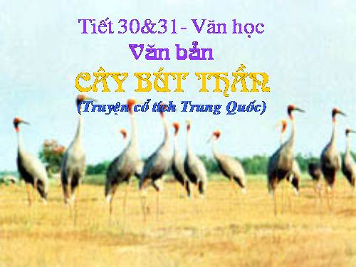 Bài 8. Cây bút thần