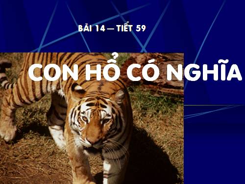 Bài 14. Con hổ có nghĩa