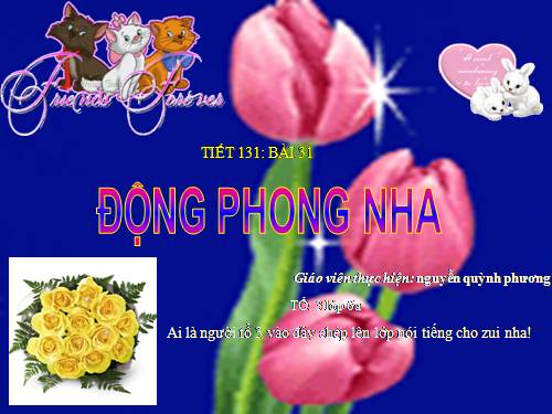 Bài 31. Động Phong Nha