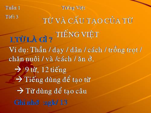 Bài 1. Từ và cấu tạo của từ tiếng Việt