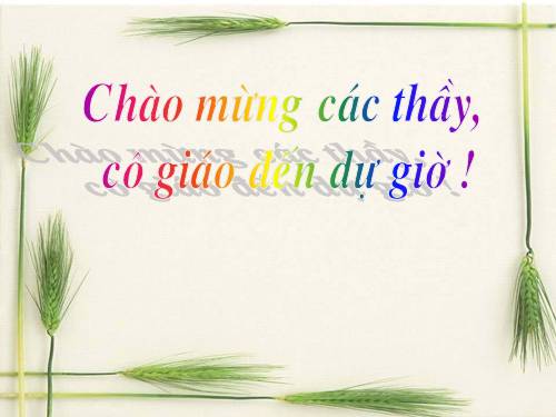 Bài 25. Các thành phần chính của câu