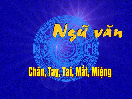 Bài 11. Chân, Tay, Tai, Mắt, Miệng