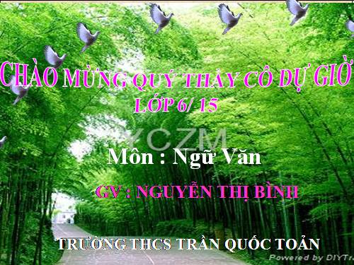 Bài 26. Cây tre Việt Nam