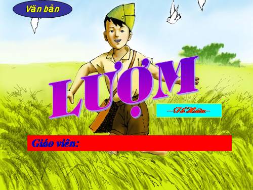 Bài 24. Lượm