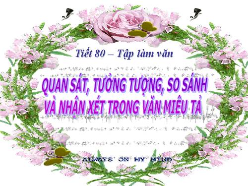 Bài 19. Quan sát, tưởng tượng, so sánh và nhận xét trong văn miêu tả