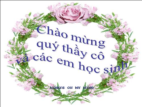 Bài 13. Chỉ từ