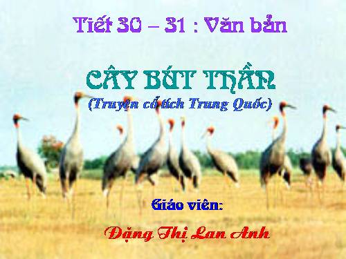 Bài 8. Cây bút thần