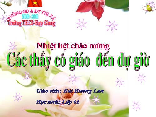 Bài 14. Động từ