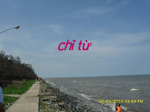 Bài 13. Chỉ từ