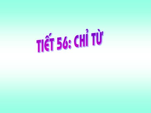 Bài 13. Chỉ từ