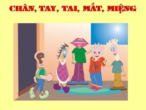 Bài 11. Chân, Tay, Tai, Mắt, Miệng