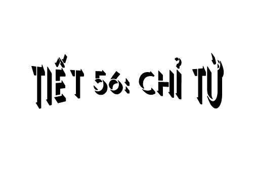 Bài 13. Chỉ từ