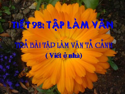 Bài 24. Trả bài tập làm văn số 5