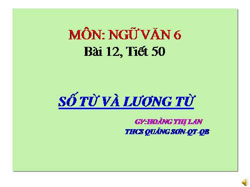 Bài 12. Số từ và lượng từ