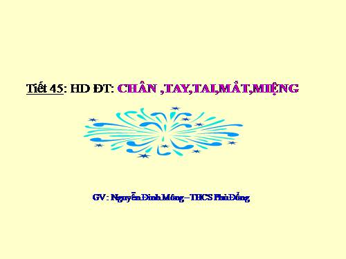 Bài 11. Chân, Tay, Tai, Mắt, Miệng