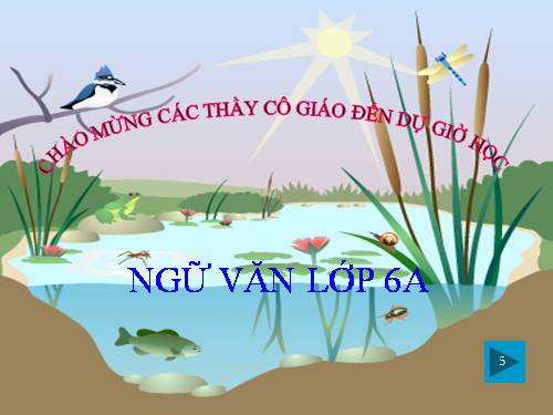 Bài 10. Ếch ngồi đáy giếng