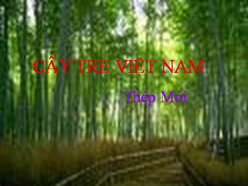 Bài 26. Cây tre Việt Nam