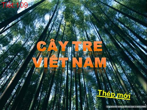 Bài 26. Cây tre Việt Nam